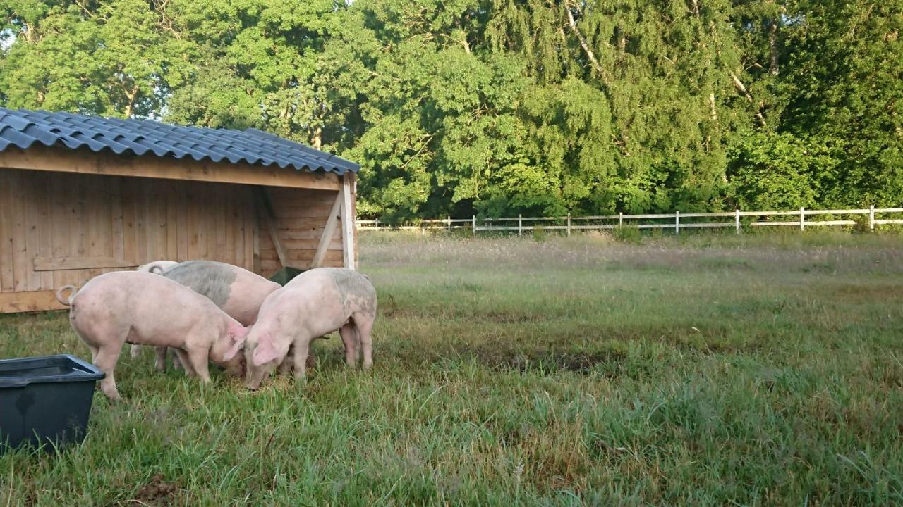 Wilhelmslage Hotell Höganäs Exteriör bild