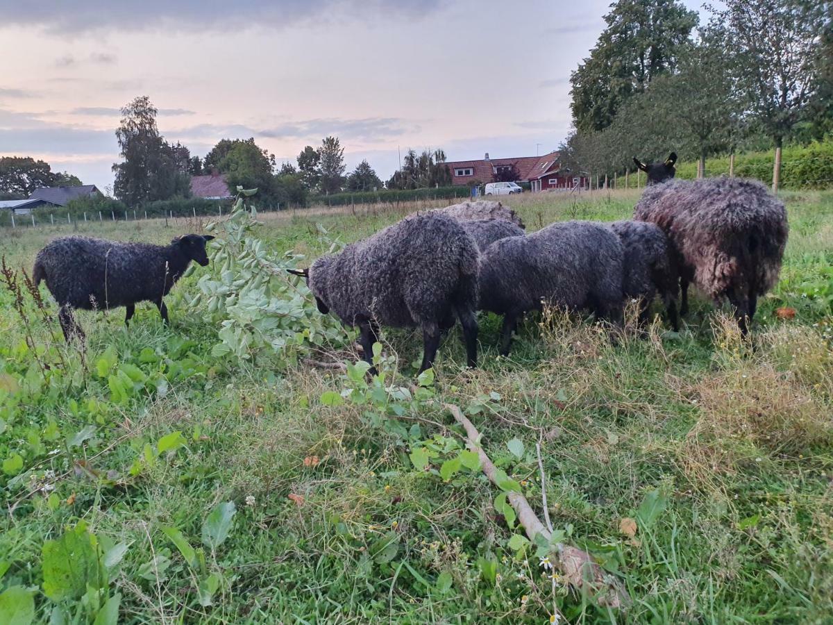 Wilhelmslage Hotell Höganäs Exteriör bild